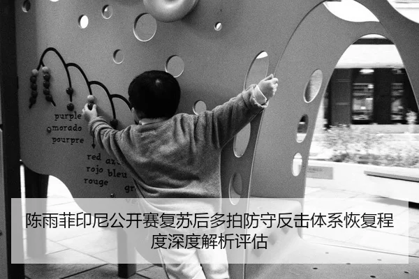 陈雨菲印尼公开赛复苏后多拍防守反击体系恢复程度深度解析评估