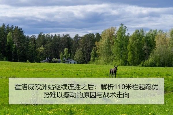 huo-luo-wei-ou-zhou-zhan-ji-xu-lian-sheng-zhi-hou-jie-xi-mi-lan-qi-pao-you-shi-nan-yi-han-dong-de-yuan-yin-yu-zhan-shu-2-596.jpg